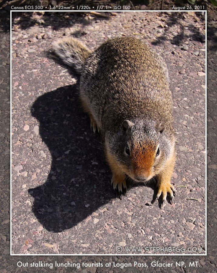 Glacier National Park
