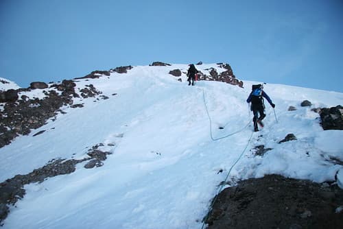 Disappointment Cleaver