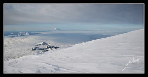 Disappointment Cleaver