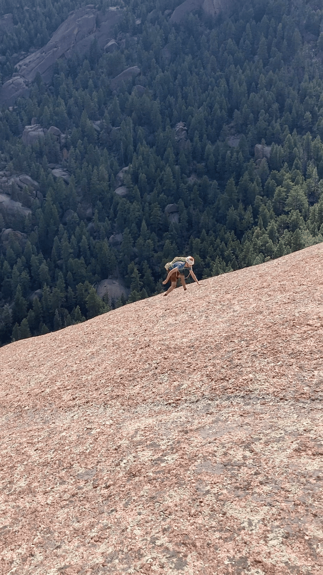 A Madman Dreams of Turing Machines