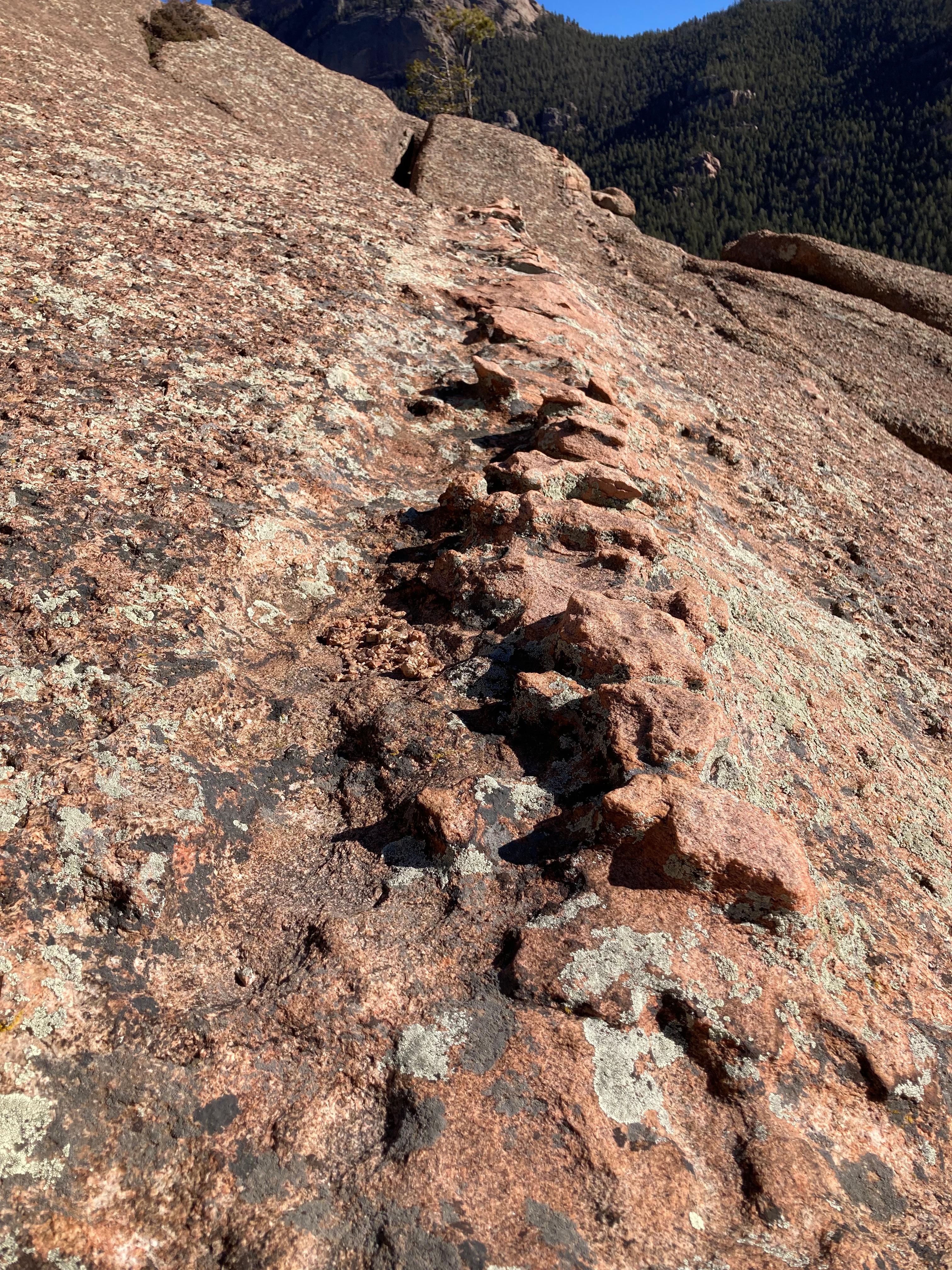 A Madman Dreams of Turing Machines