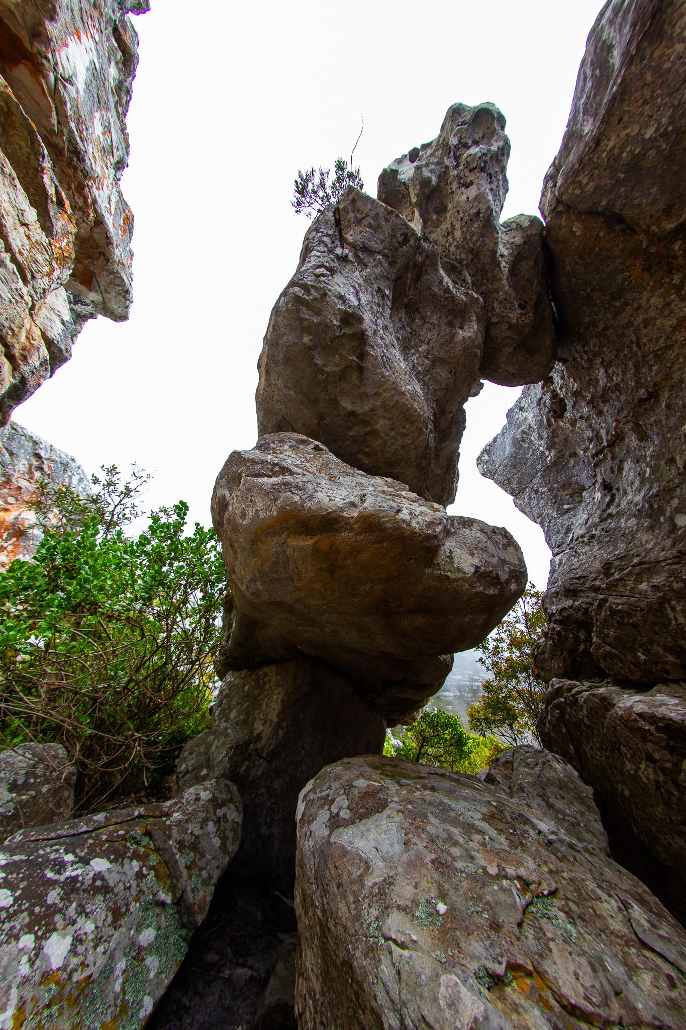 Climbing route photo by cocoisafraid at Dogfather