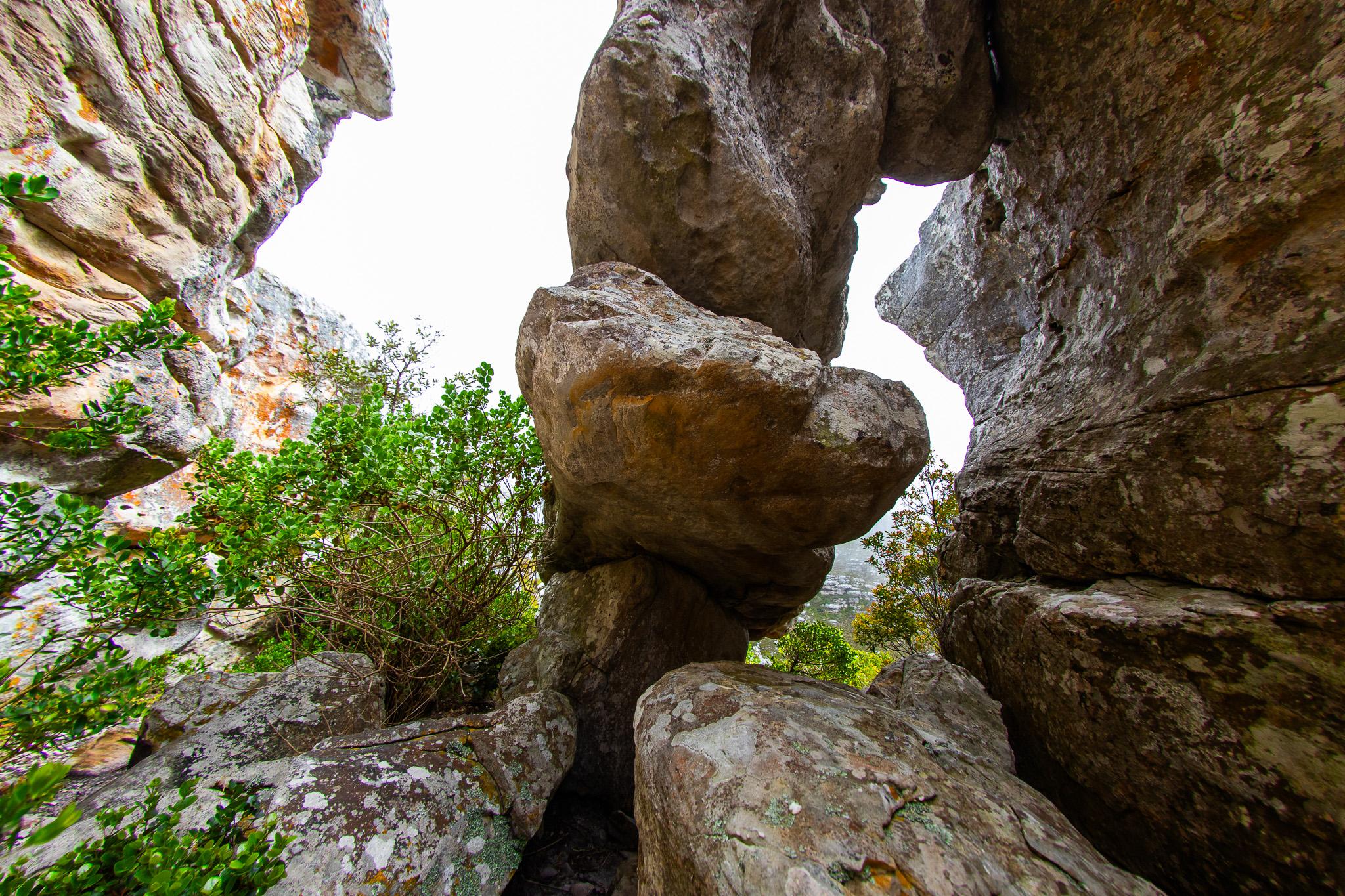 Climbing route photo by cocoisafraid at Dogfather