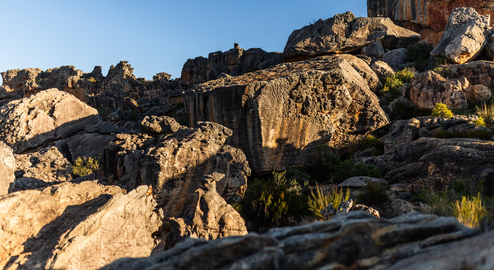 Tomorrow I Will Be Gone