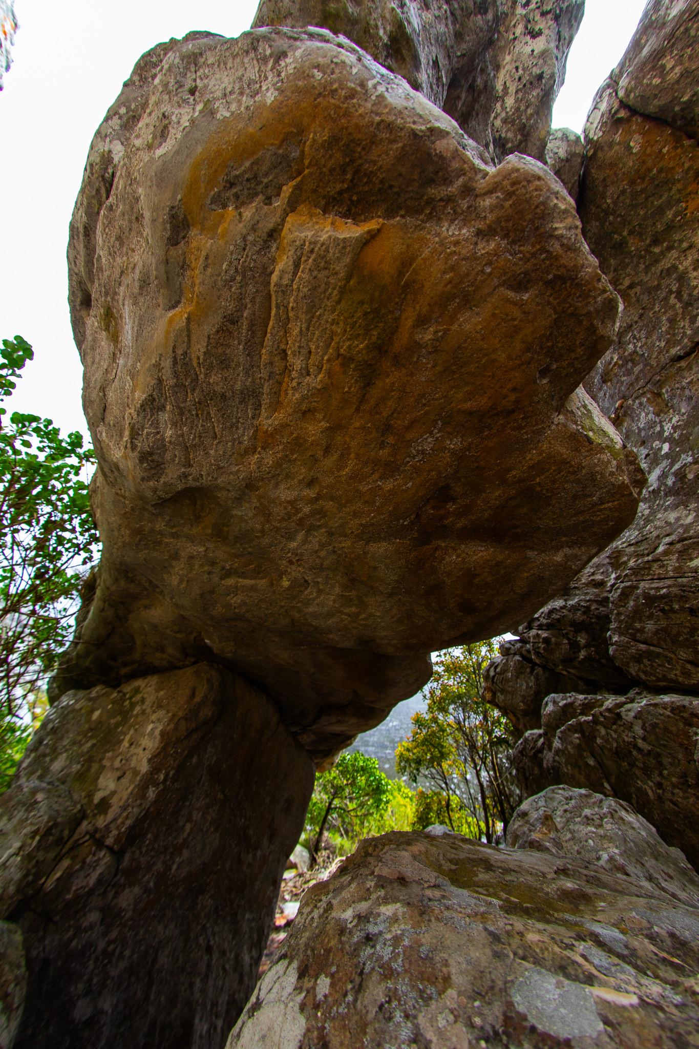 Climbing route photo by cocoisafraid at Dogfather