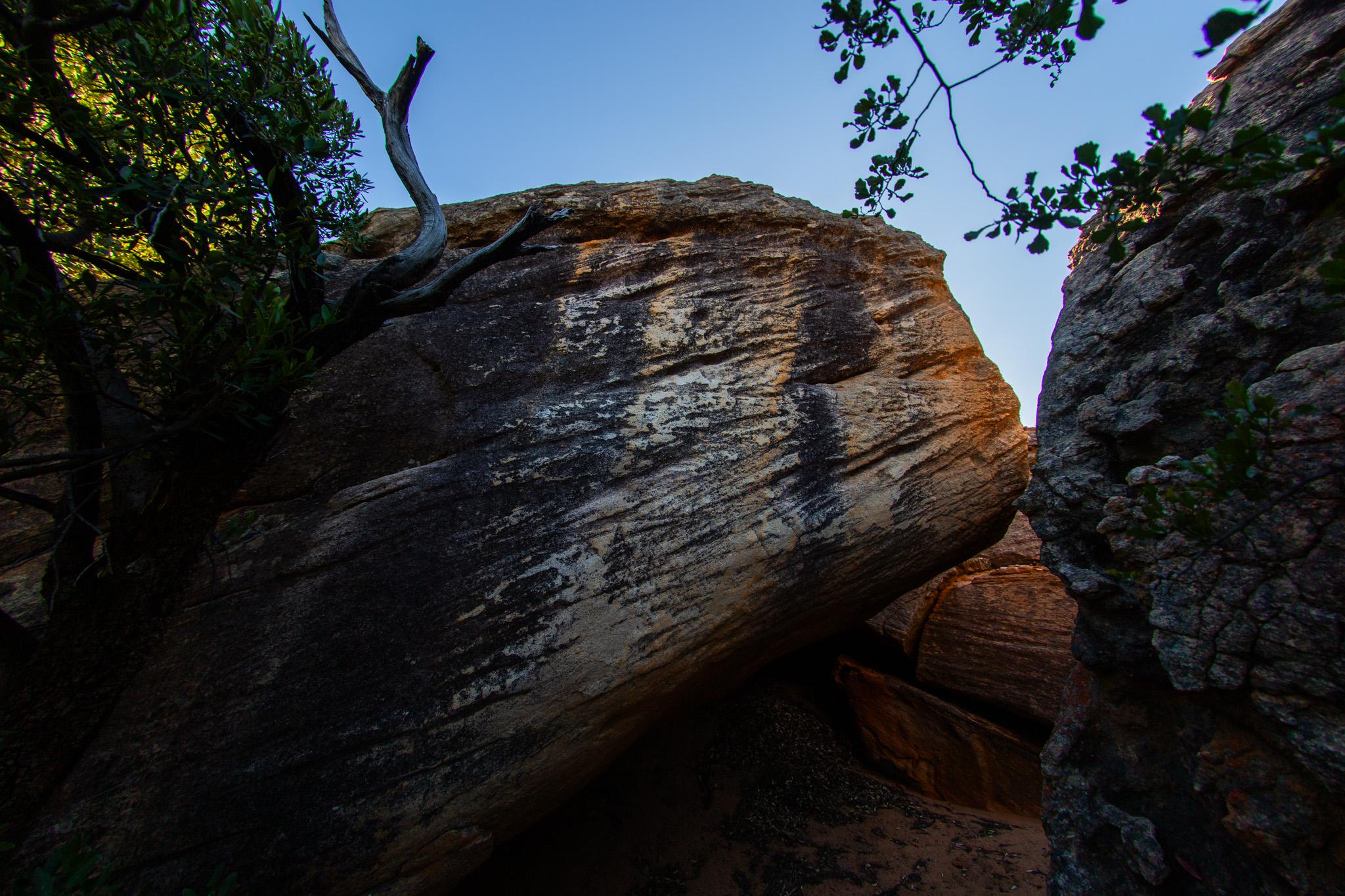 Adventures of Stacy and Tracy