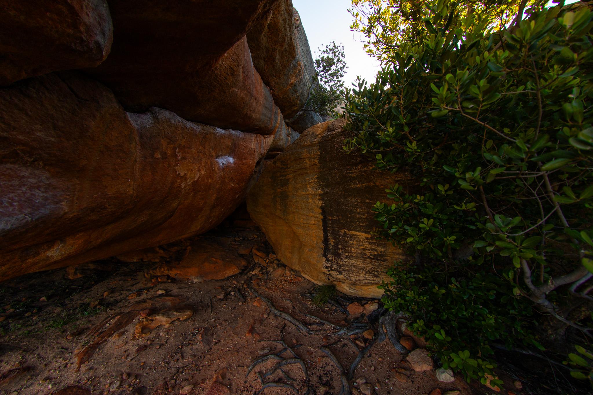 Adventures of Stacy and Tracy